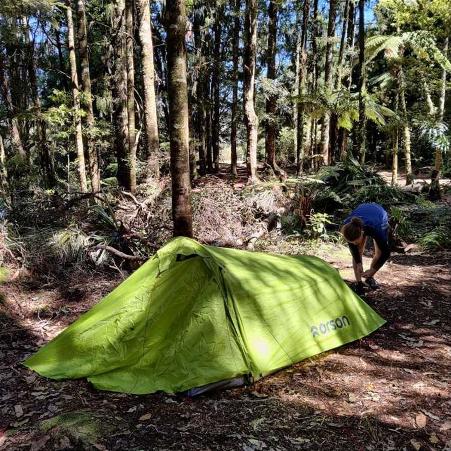 Affordable lightweight clearance tent