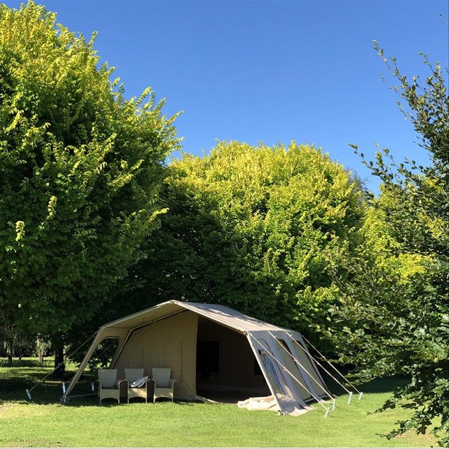 Heavy duty canvas shop tents for sale