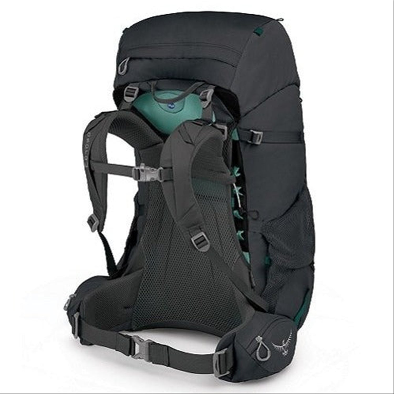 Osprey hotsell kyte 65